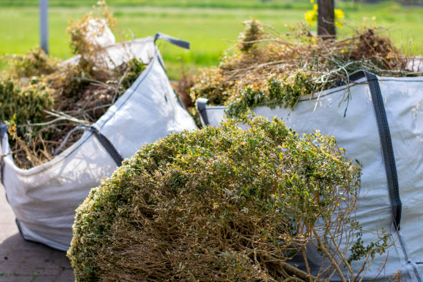 Best Office Junk Removal  in Eustis, FL